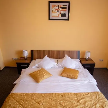 Hotel Alexandra Timisoara