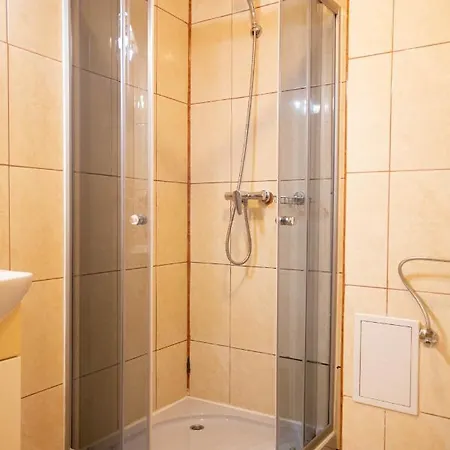 Alexandra Timisoara
