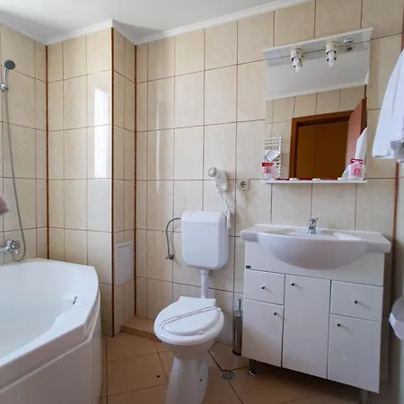 Alexandra Timişoara