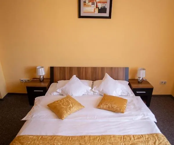 Hotel Alexandra Timisoara