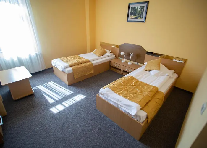 Alexandra Hotel Timisoara